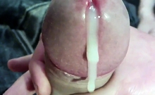 Pov Closeup Of My Cock Cumming - Cumshot 11