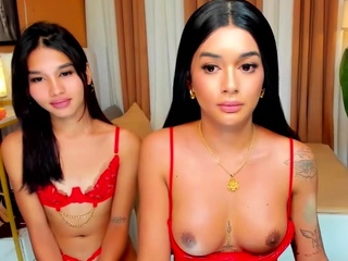 Amateur busty shemale fucking ass of tranny