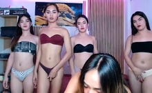 Shemale ladyboys group sex