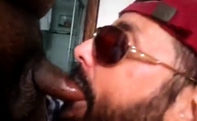 Rio de Janeiro Bull Sucking the Machos Off
