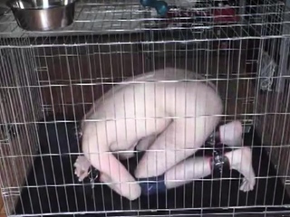BDSM Porn HD scene 708